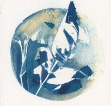 Cyanotype Workshop